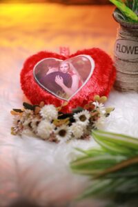 Heart Pillow